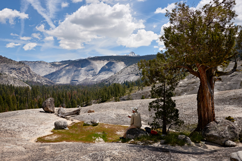 View of the Little Yosemite Valley and Mt Clark in the distance